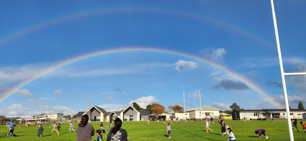 Details of enrolment for 2024