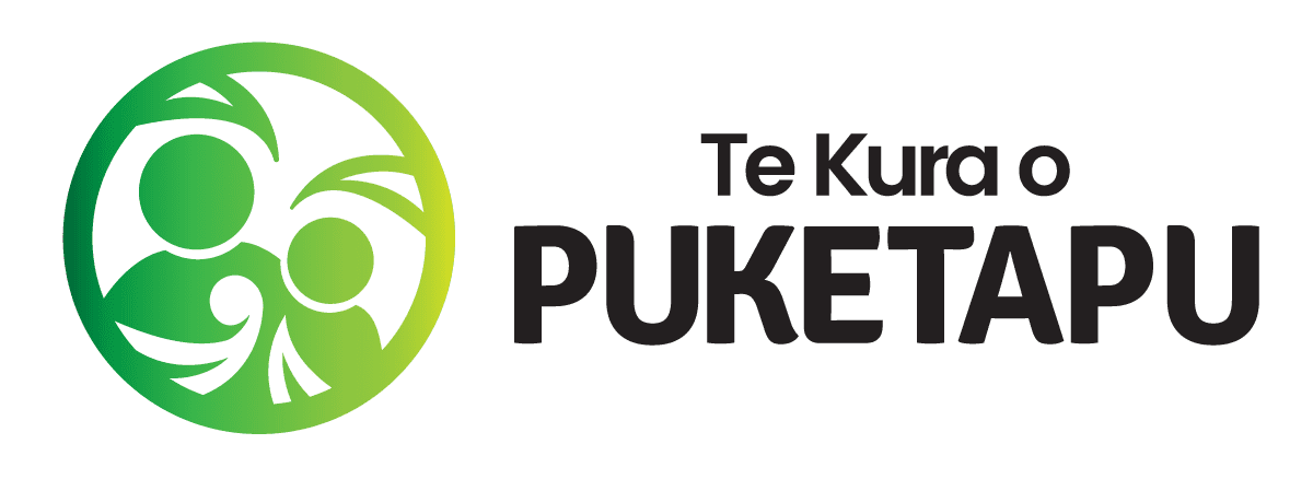 Puketapu School